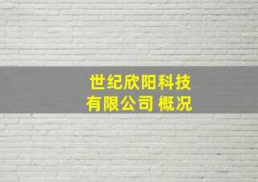 世纪欣阳科技有限公司 概况